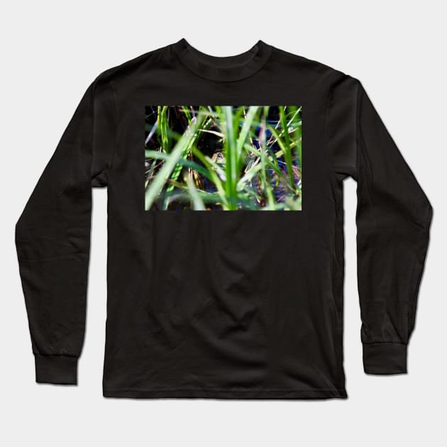 Frosch / Swiss Artwork Photography Long Sleeve T-Shirt by RaphaelWolf